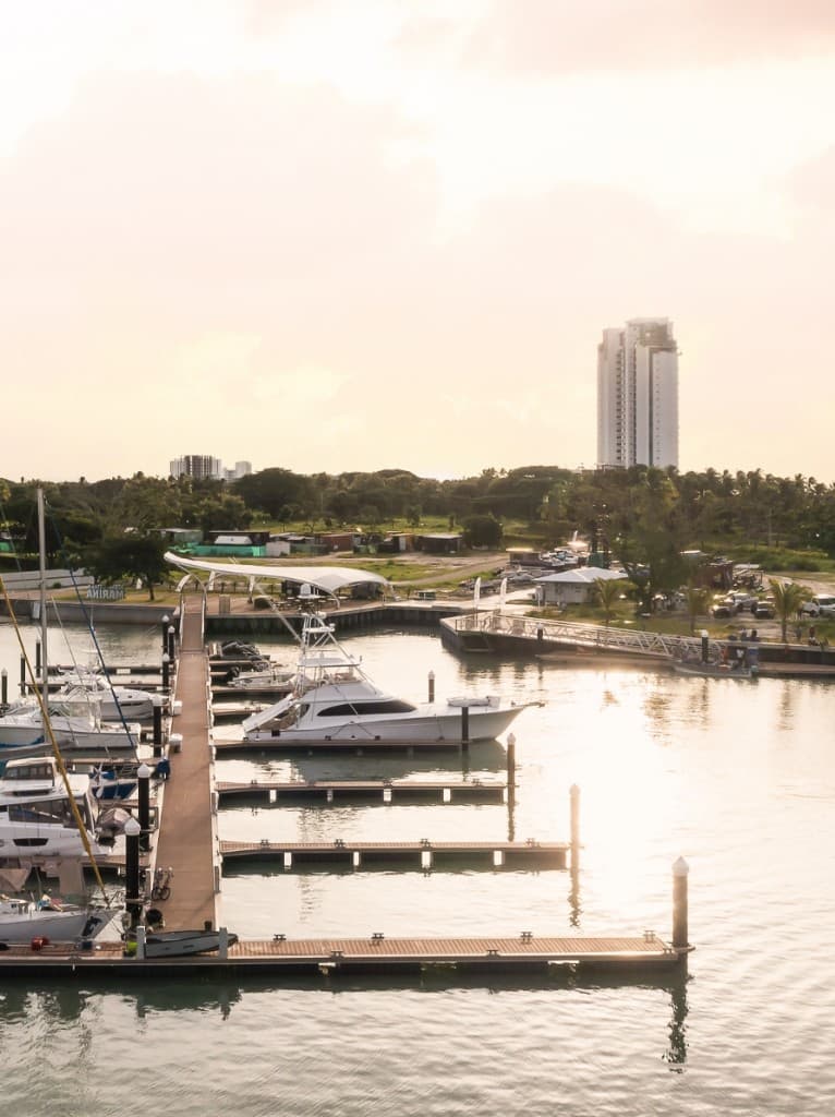 Marina at sunset